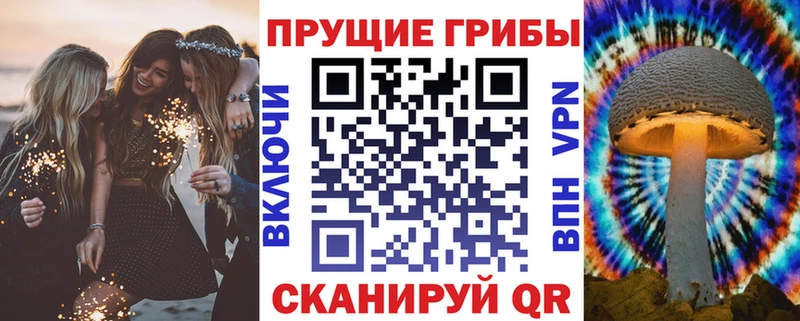 Псилоцибиновые грибы GOLDEN TEACHER  купить закладку  Малмыж 